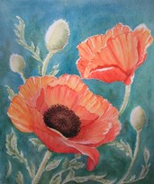 Poppies, watercolor by Patti Blair